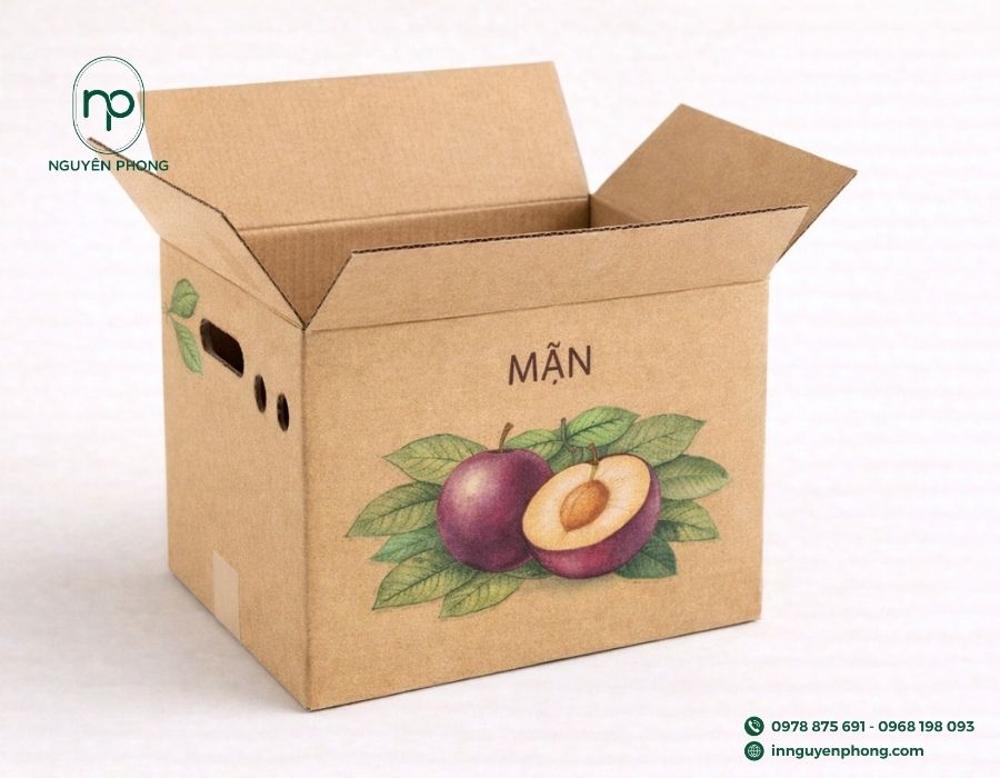 mẫu-thùng-carton-đựng-mận/roi